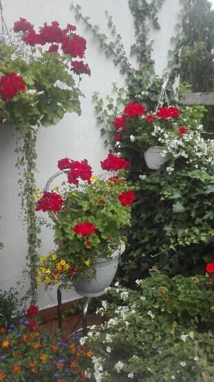 Apartamento Pod Bluszczem Świnoujście Exterior foto